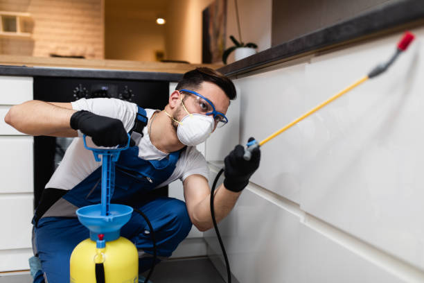 Best Mosquito Control Services  in Honeyville, UT