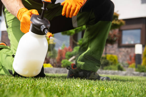 Best Termite Control Services  in Honeyville, UT