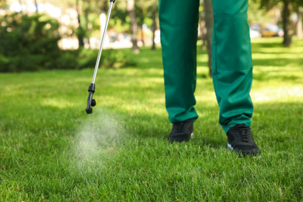 Best Affordable Pest Control Services  in Honeyville, UT