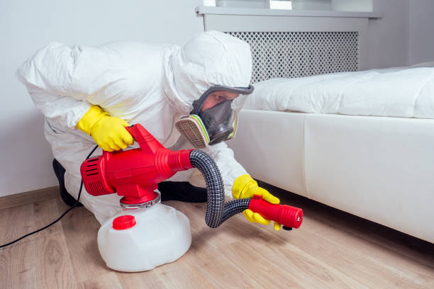 Best Flea Control Services  in Honeyville, UT