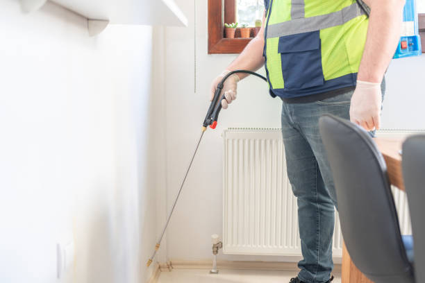 Best Residential Pest Control  in Honeyville, UT