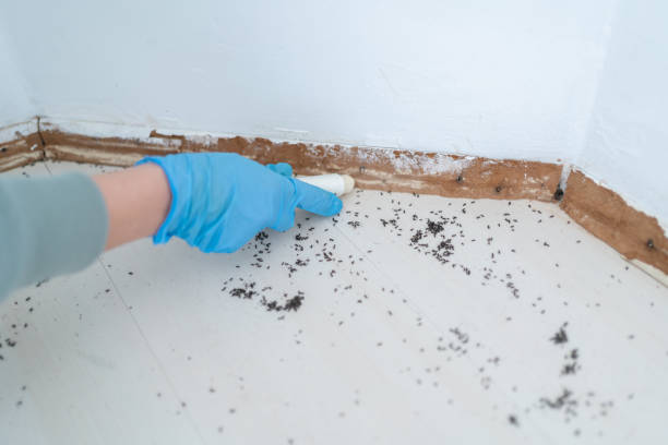 Pest Control Cost in Honeyville, UT